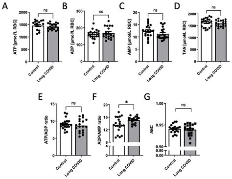 Red Blood Cell Adenylate Energetics Is Related to Endothelial and ...