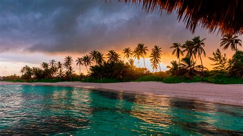 Paradise Vacation Tropical Rain HD Background - Themes10.win