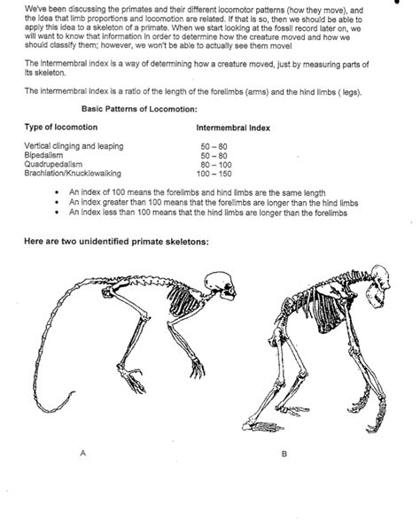 Image result for Locomotor Patterns in Primates