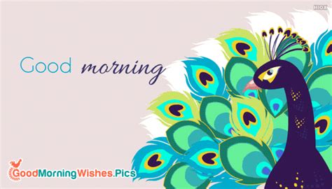 30+ Good morning Peacock Images & Wishes - Good Morning Wishes