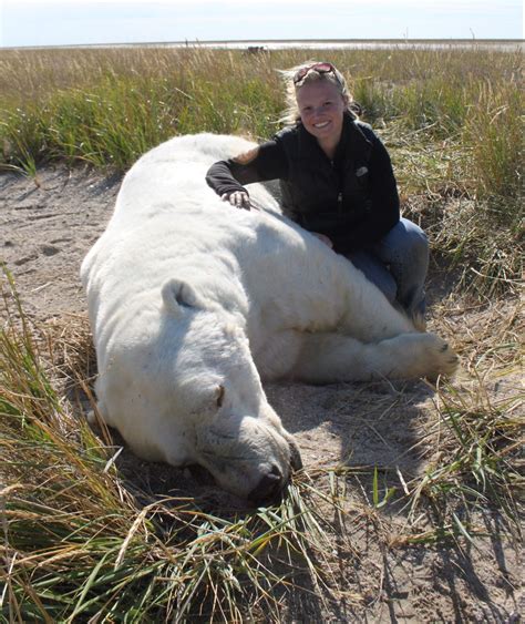 Human action key to polar bear survival – TRU Newsroom