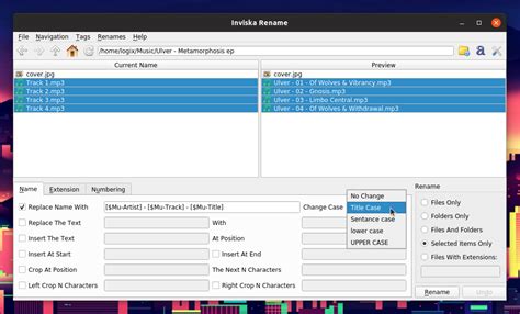 Image result for Rename GUI