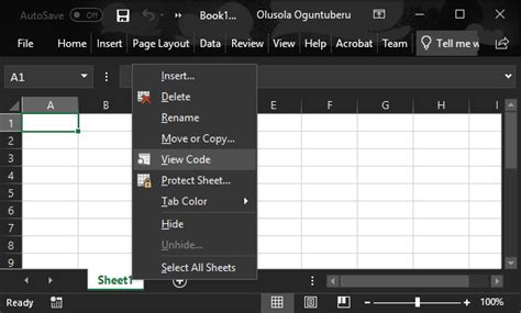 VBA Editor in Excel 的图像结果