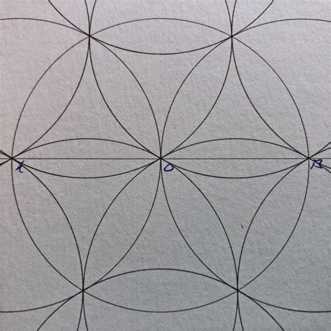 Image result for Compass Exercise