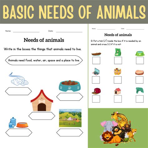 Basic human needs and basic needs of animals activities worksheet for grade 1 or 2 | Made By ...