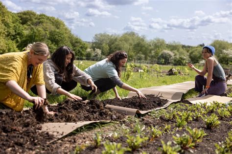 Local Food Systems 的图像结果