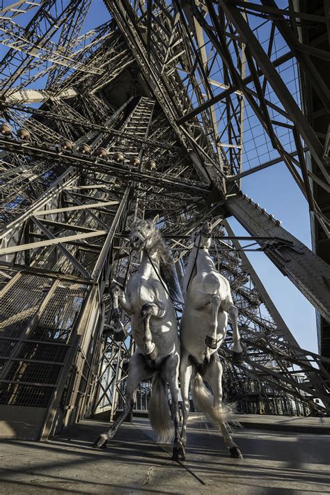 Paola Pivi. Yee-Haw | Meer