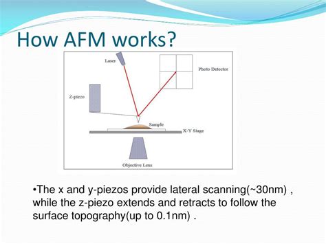 Image result for AFM Explained Microscope