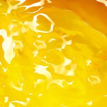 Hostatint Yellow A H3G 100