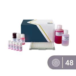 SENSISpec ELISA Buckwheat 48 Wells