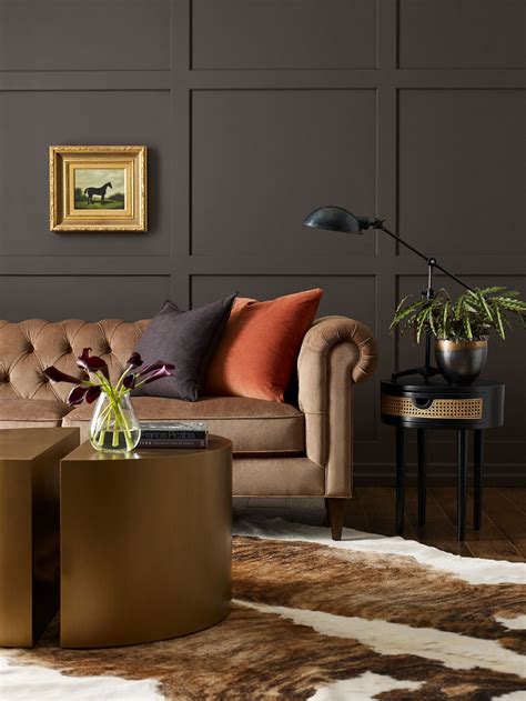 Living Room Brown Paint Colors Living Room Paint Colors & Ideas The