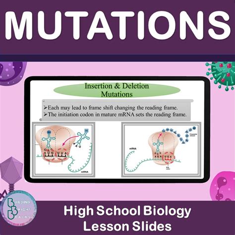 Image result for Biology Ordinal Level Mutation Lesson