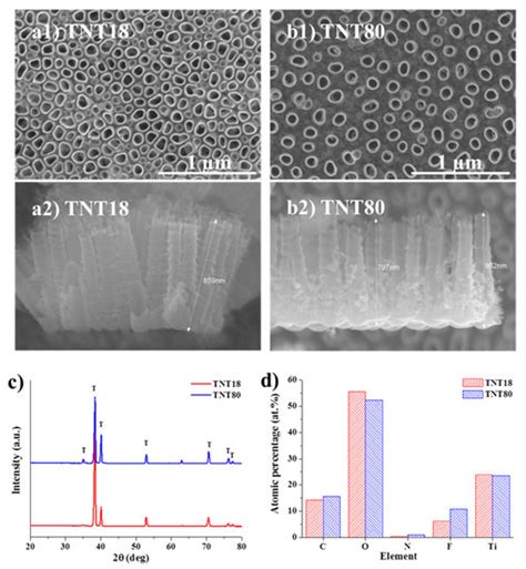 Lateral Spacing of TiO2 Nanotubes Modulates Osteoblast Behavior