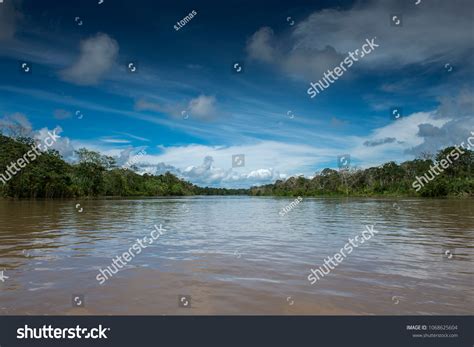 Amazon River South America Largest River Stock Photo 1068625604 ...