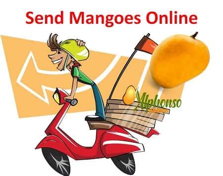 Send Mangoes Online – Gift Fresh & Juicy Mangoes – AlphonsoMango.in