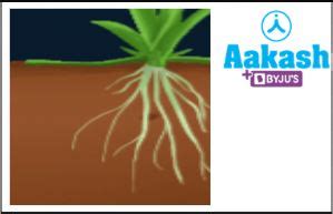 Water, Practice Problems and FAQs in Biology: Definition, Types and ...