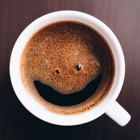 Techwind - Tailwind CSS Multipurpose Landing & Admin Dashboard Template