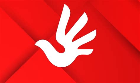 Women’s Rights in Islam “You Can Not Liberate the Free” - Aura ...