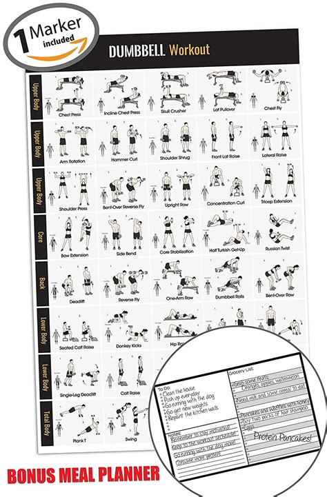 Beginners Gym Machine Workout 的图像结果