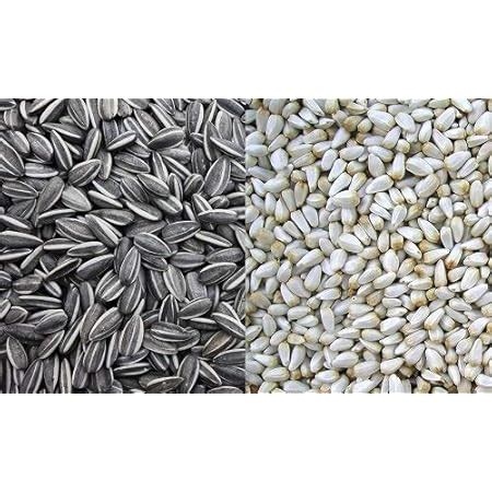 Buy Parrots Wizard All Life Stages Dry Bird Food Small Size Sunflower ...