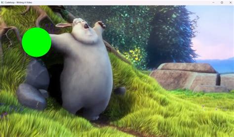 Image result for Python Video ASCII CV2