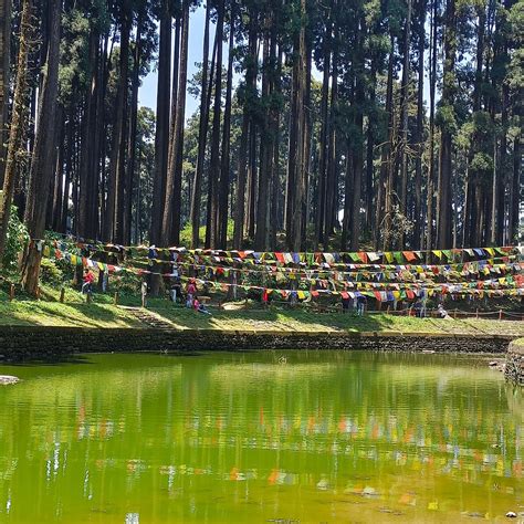 LAMAHATTA RESIDENCY (Tukdah) - Lodge Reviews, Photos, Rate Comparison ...