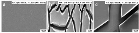 Regulation Mechanism of Trivalent Cations on Friction Coefficient of a ...