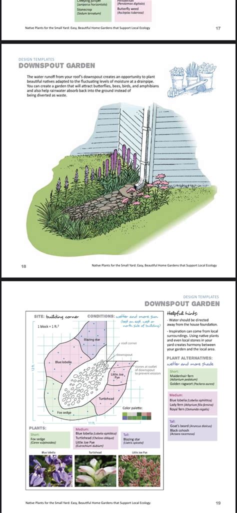 Types of Boats Diagram