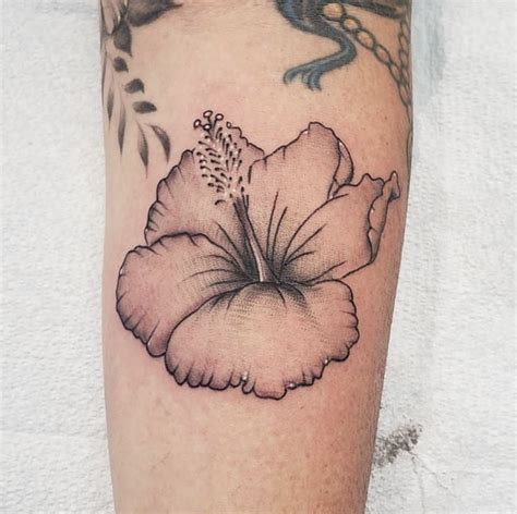 Image result for Todd Yoder