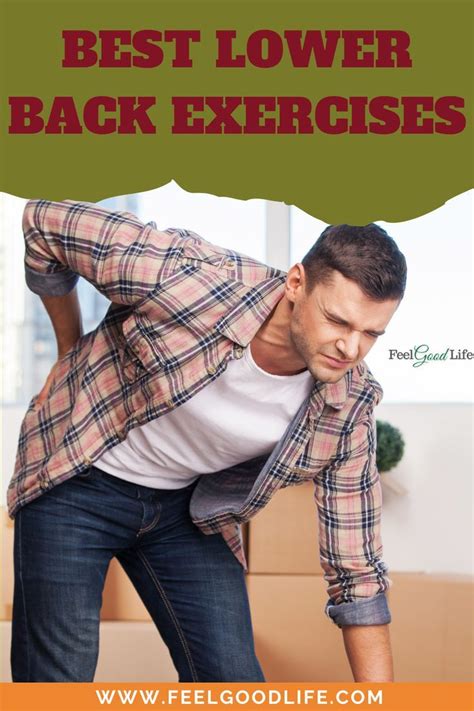 How to Exercise Lower Back Muscles 的图像结果