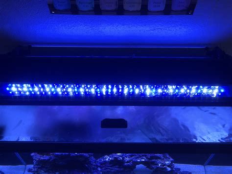 Image result for Nicrew Single Channel LED Light Timer Pro