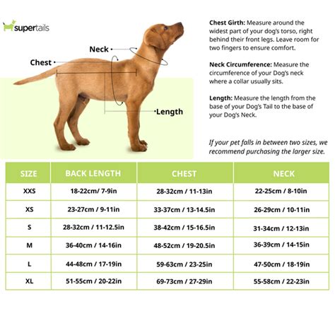 Tommy Hilfiger Flag Collar and Cluff Polo Tshirt for Dogs (Vivid Yello ...