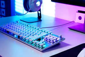 Compact TKL Gaming Keyboards : Vulcan TKL Pro Keyboard