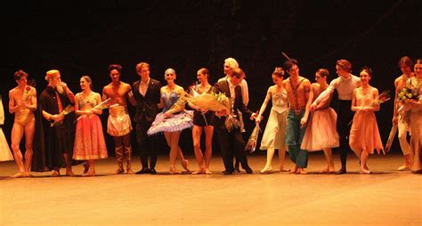 Russian Ballet Icons 的图像结果