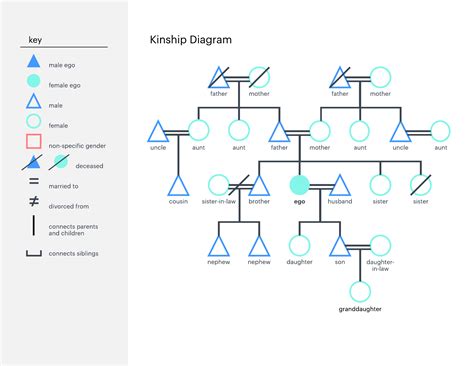 How to Make a Kinship Diagram | Lucidchart