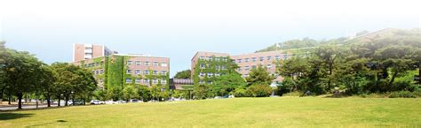2019-2020秋季学期韩国湖南大学交流项目心得总结-汕头大学商学院