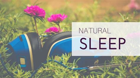 Image result for Making Your Own Audio for Programming Sleep