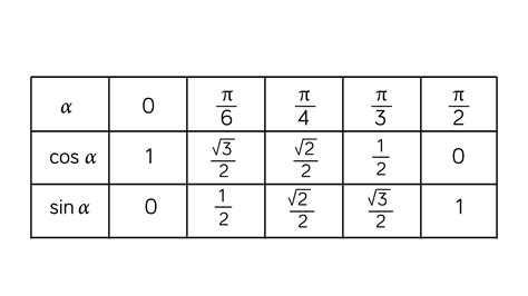 Formes trigonométriques et exponentielles : cours de Terminale S