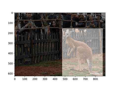 Object Detection Model with Keras 的图像结果