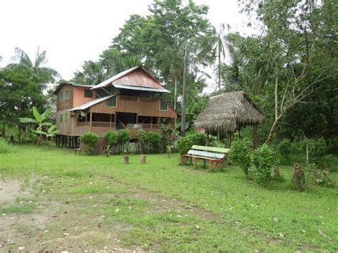 HOSTAL BÚHO AMAZONAS TOURS (Leticia) - Hostel Reviews, Photos, Rate ...