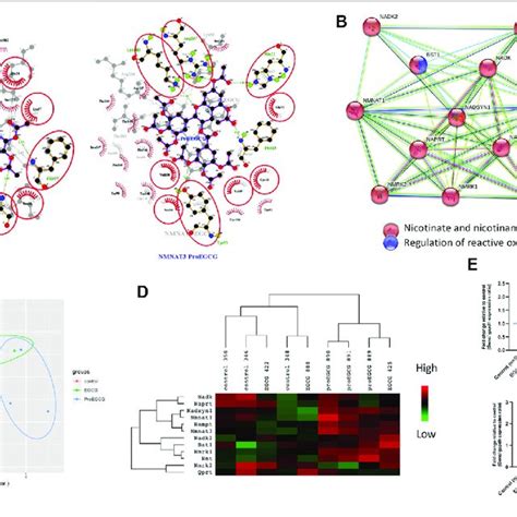 Image result for Ligplot Online Server