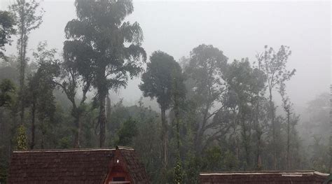 TURTLE POND HOME STAY (Coorg/Manchalli) - Reviews & Photos