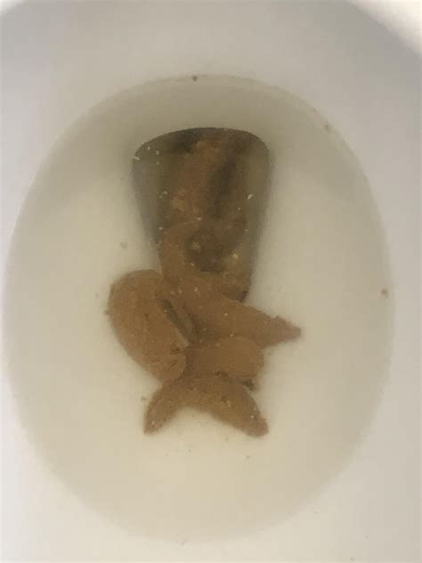 Image result for Normal Poop Images
