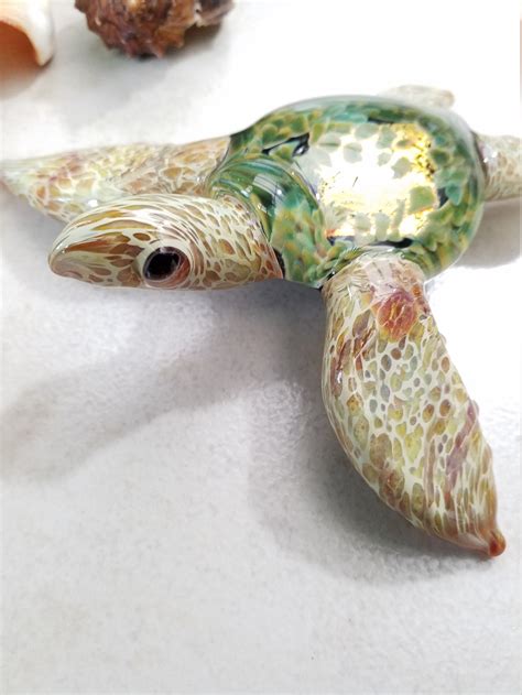 Image result for Empty Sea Turtle Shell