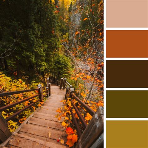 30 Autumn Color Palettes for Coloring Pages: Embrace the Season's ...