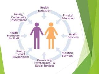 Image result for Our Health Services Explained