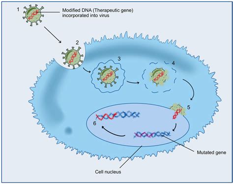 Gene Vector 的图像结果