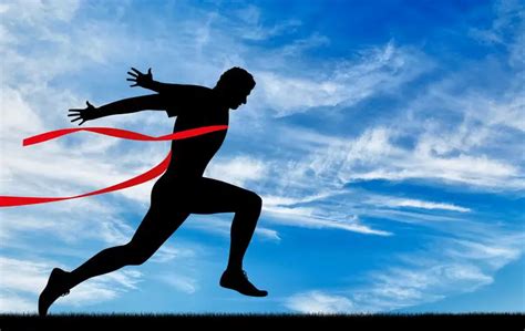 Meta-Analysis Variables 的图像结果