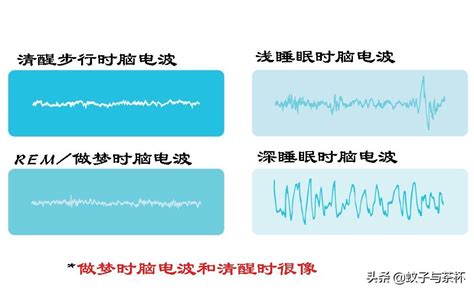 为什么我们会做梦，梦形成的机制又是什么？用科学解密你的梦境 - 知乎