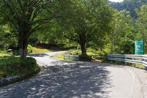 Ghost Road: ಈ ರಸ್ತೆಯಲ್ಲಿ ಬೇರೆ ಊರಿನ ವಾಹನ ಓಡಾಡೋಹಾಗಿಲ್ಲ; ಓಡಾಡಿದ್ರೆ ಅಷ್ಟೇ ...